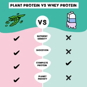 Whey protein vs plant protein